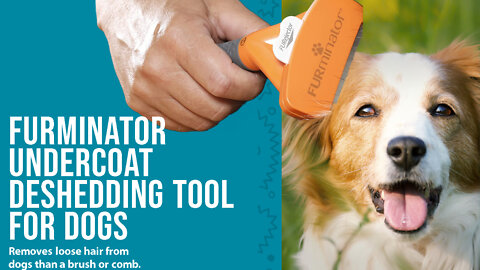 FURminator Undercoat Deshedding Tool For Dogs