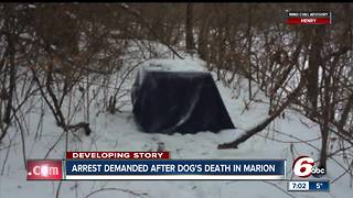 Arrest demanded after dog was found abandoned in a crate, left to die in sub-zero temperatures