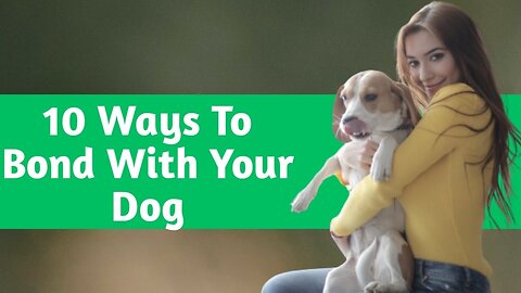 10 Ways to Bond with Your Dog and 7 Mistakes to Avoid | Methods To Strengthen Relationship With Dogs