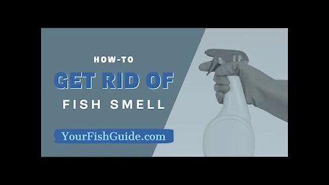 How To Get Rid Of Fish Smell In YOUR Kitchen ~ 12 Ways of Getting Rid of Fishy Smell
