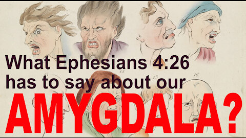 What Ephesians 4:26 has to say about our Amygdala?
