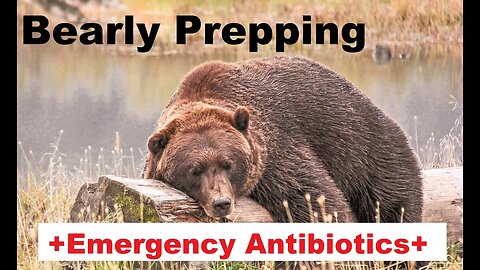Bearly Prepping: Emergency Antibiotics