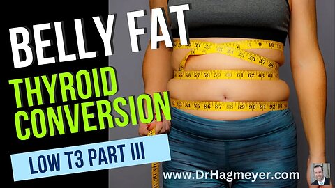 Thyroid Belly Fat Part III- Understanding Why Your T3 Levels Are Low