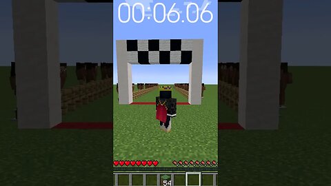 Fastest running method in Minecraft❓❓❓