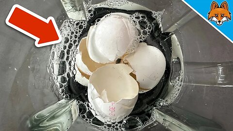 What happens if you put Eggshells in a Blender is MIND BLOWING💥(Genius)🤯