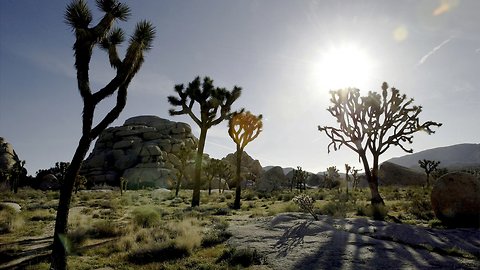 Senate Passes Major Public Lands Package