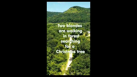 Two Blondes are walking in the forest and loking for..