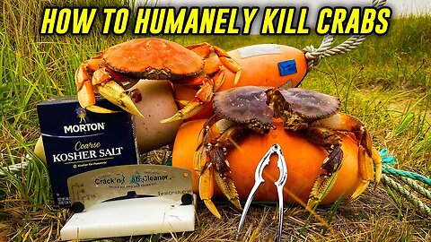 The BEST 2 Ways To KILL CRAB (How & Why?)