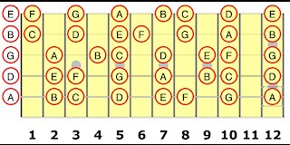 The 5th String for the Guitar Student
