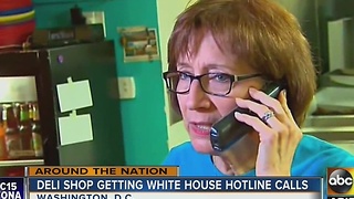 Deli shop getting endless calls meant for White House comment line