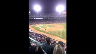 'First-hand' view of foul ball catch at MLB game