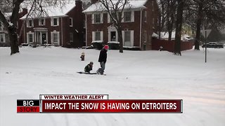 Impact the snow is having on Detroiters