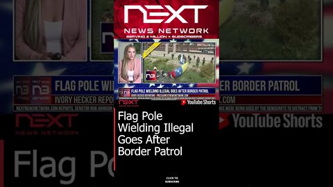 Flag Pole Wielding Illegal Goes After Border Patrol #shorts