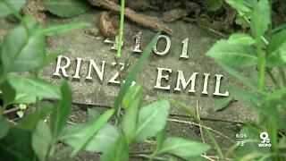 Initiative aims to restore dignity to overgrown cemetery