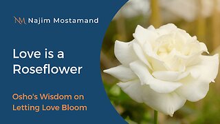 Love is a Roseflower: Osho's Wisdom on Letting Love Bloom