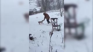 "Dog Leaves Lady Stranded In The Cold"