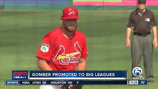 FAU's Austin Gomber promoted by Cardinals