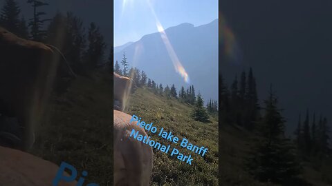 Bow Summit Banff National Park Alberta Canada Rockies 🇨🇦 BurnEye Hikes #shorts Summer fun
