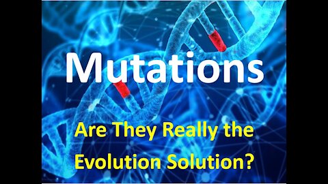 Mutations - Are They Really the Evolution Solution