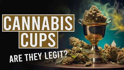 Cannabis Cups! Are they Legit?