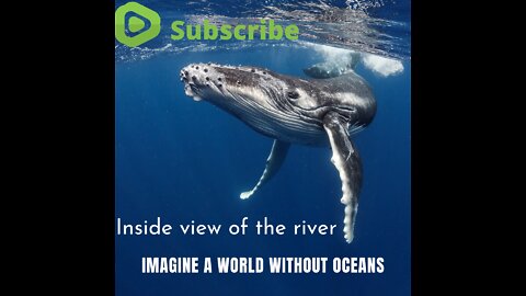 Inside view of the river, Imagine a world without oceans