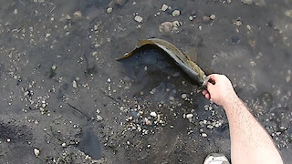 Bass Fishing On My Lunch Break