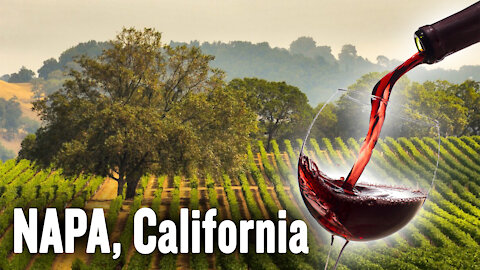 California Wine: The History, Culture, and Art of Wine Making | Jim & David Gianulias