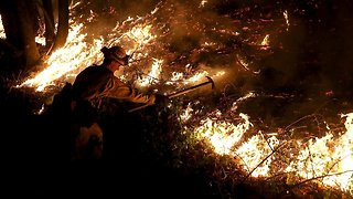 Pacific Gas And Electric Says It Isn't To Blame For The Tubbs Fire