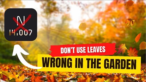 How To Use Leaves In The Garden. The Dangers On Using Leaves Incorrectly. | Gardening In Canada