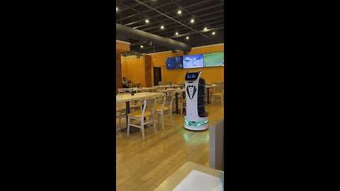 Robot at Ramen & Sushi (Wheaton, IL)