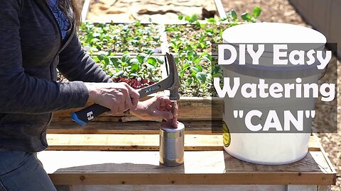 How to Make Your Own DIY Mittleider Watering Can to Water Seedlings