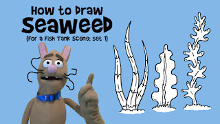 How to Draw Seaweed