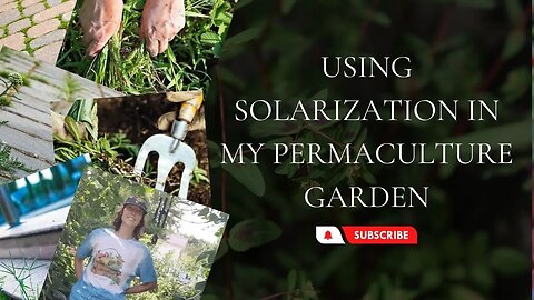 Solarization In My Permaculture Garden