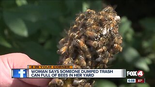 Woman says someone dumped trashcan full of bees in her yard