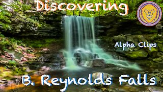 Discovering B. Reynolds Falls
