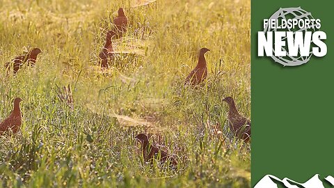 DEFRA faces judicial review over gamebird release – Fieldsports News, 7 June 2023