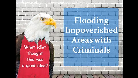 Flooding Impoverished Areas with Criminals