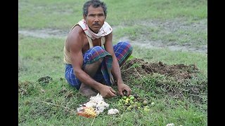 40 years ago he started planting trees