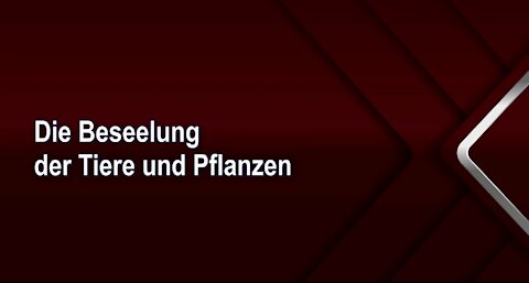 Die Beseelung der Tiere und Pflanzen