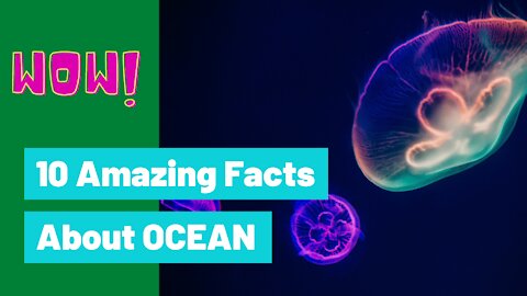 Top 10 Amazing Facts About Ocean