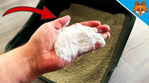Dump THAT in the Litter Box and WATCH WHAT HAPPENS 💥 (Genius) 🤯