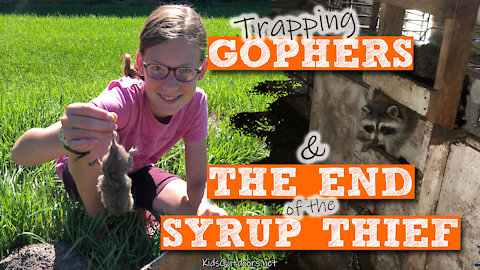 S2:E23 How to Trap Pocket Gophers & The End of the Syrup Thief | Kids Outdoors