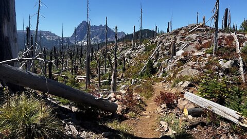 EXPLORING THE GORGEOUS Pacific Crest Trail Burnout Zone on Three Fingered Jack Loop! | 4K | Oregon