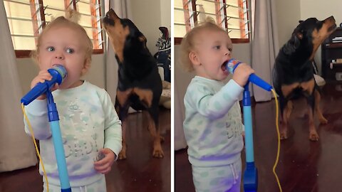 Doggy & baby duet is a must-see performance