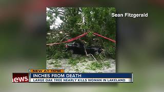 Woman narrowly escapes death after massive oak tree smashed her car