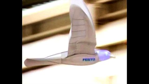 Robotic Bird Takes Flight