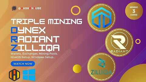 Dynex (DNX) Radiant (RXD) and Zilliqa (ZIL) Triple Mining Tutorial