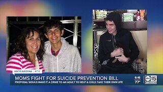 Moms fight for suicide prevention bill