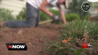 Teenager creates his own business, now has 14 employees