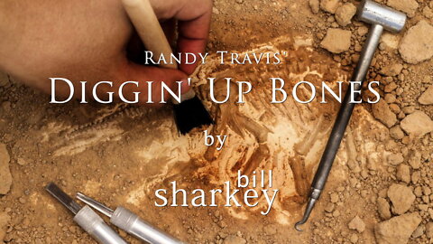 Diggin' Up Bones - Randy Travis (cover-live by Bill Sharkey)